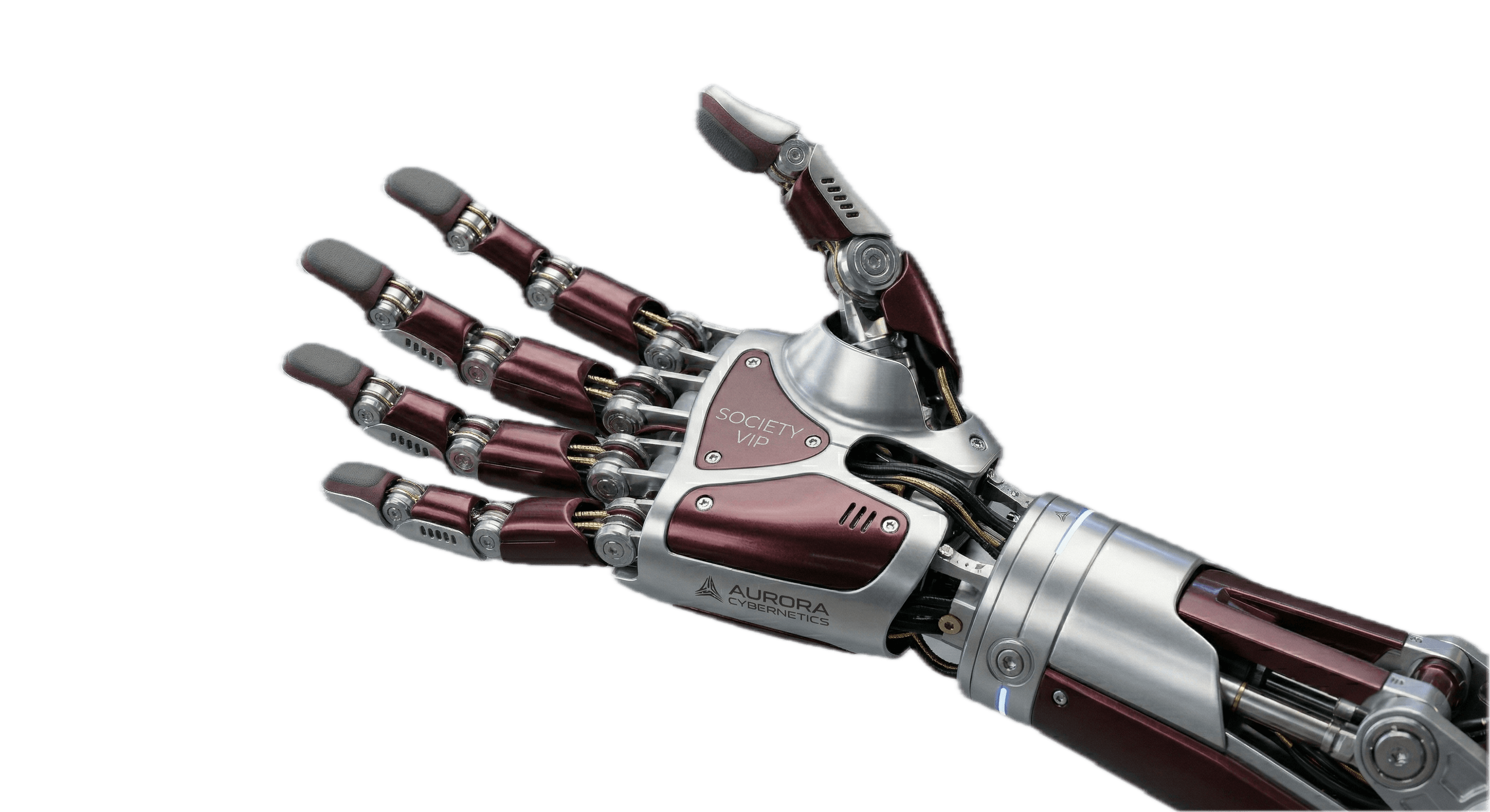 Robotic arm holding device